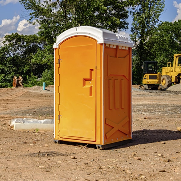 can i customize the exterior of the porta potties with my event logo or branding in Higgins